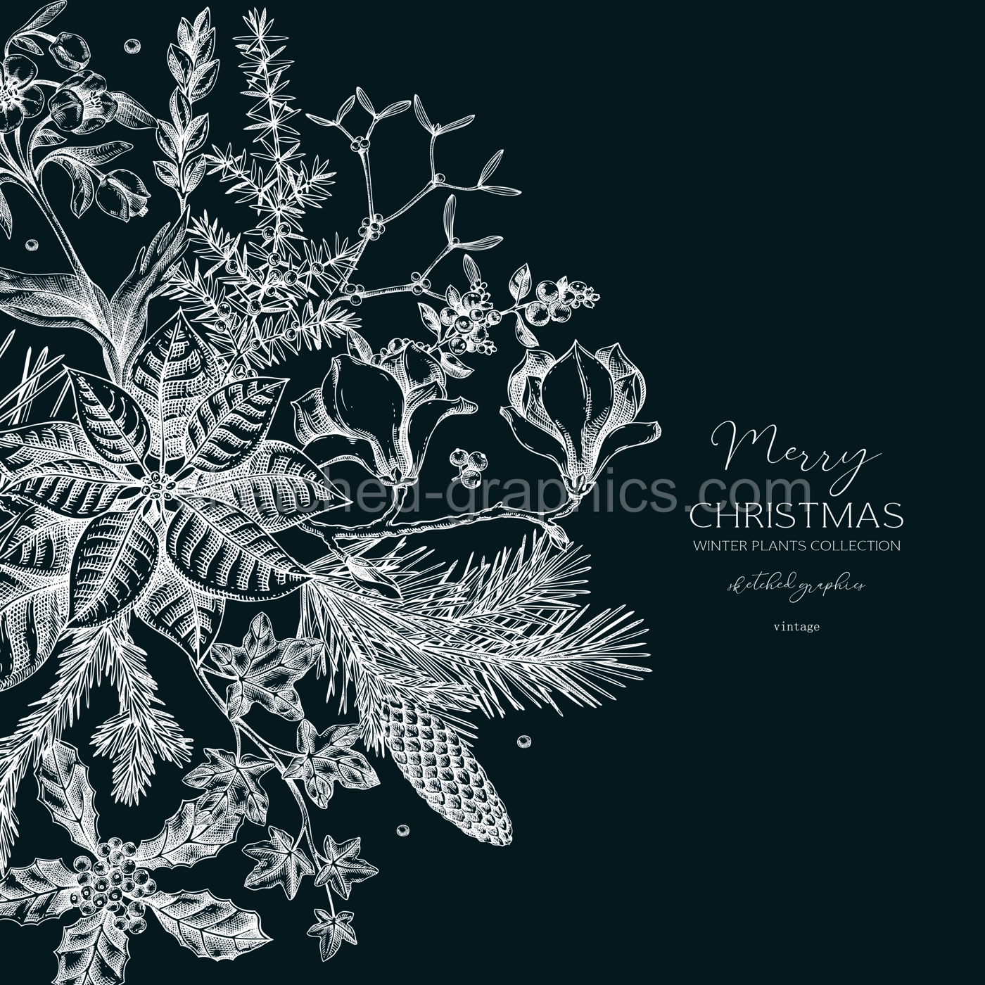 Merry Christmas card template. Evergreen plants, flower, bird sketches. Winter round design on chalkboard. Hand-drawn botanical illustrations. NOT AI generated image Illustration